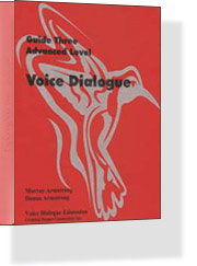 The Guide 3 - Advanced Level to the Basic Concepts of Voice Dialogue