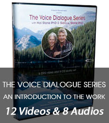 The Voice Dialogue Series